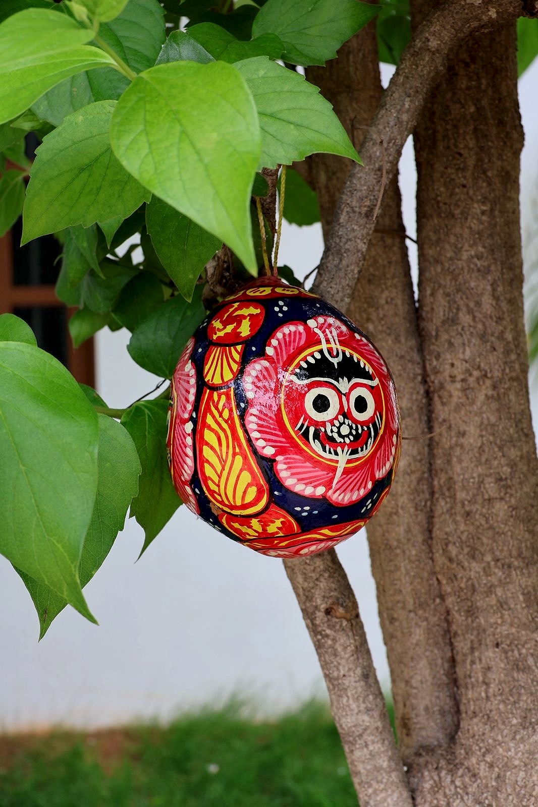Pattachitra Dristi coconut